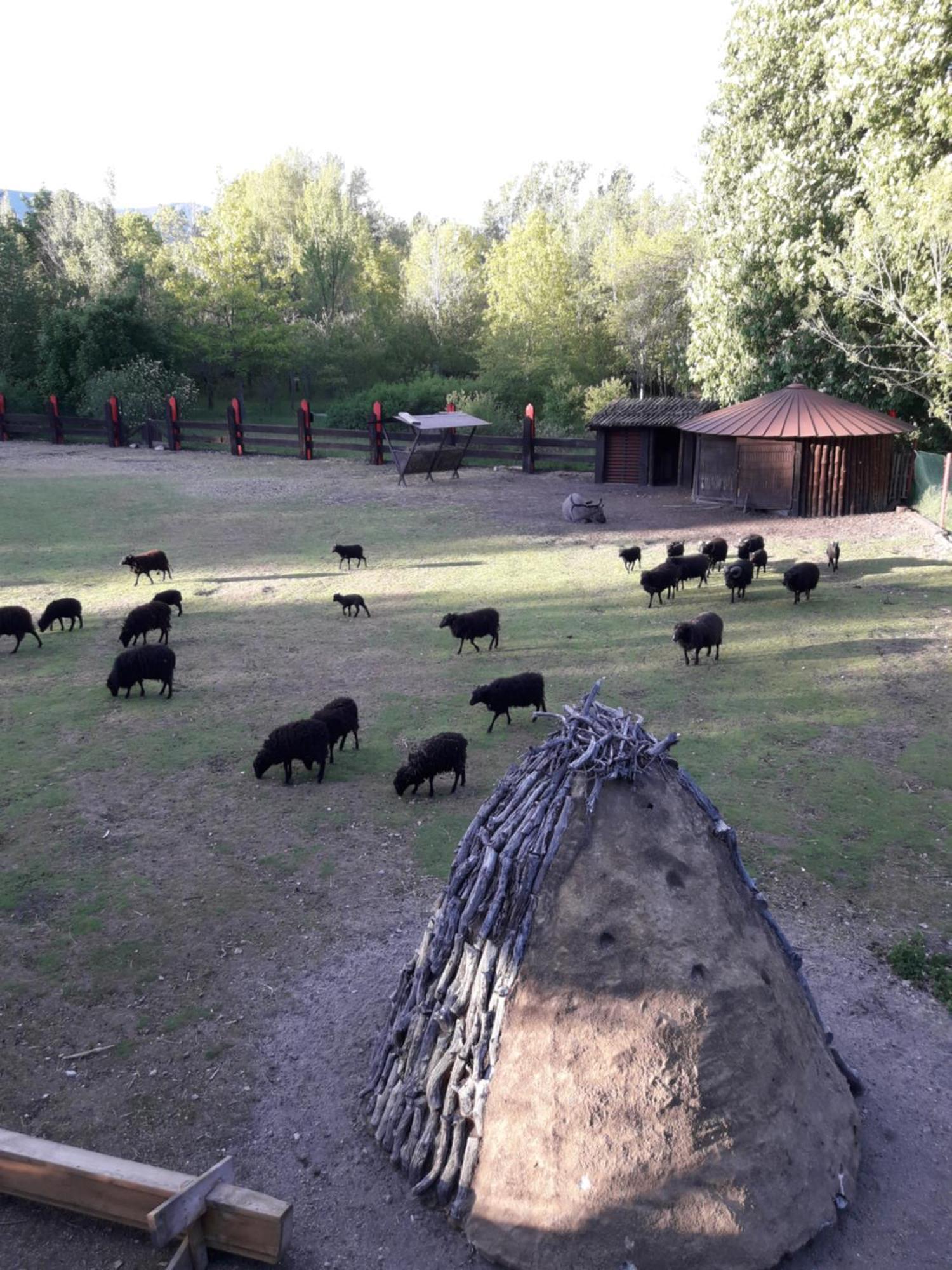 Zaguan Konuk evi Rascafría Dış mekan fotoğraf